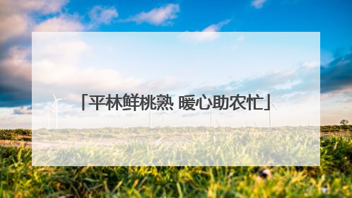 平林鲜桃熟 暖心助农忙